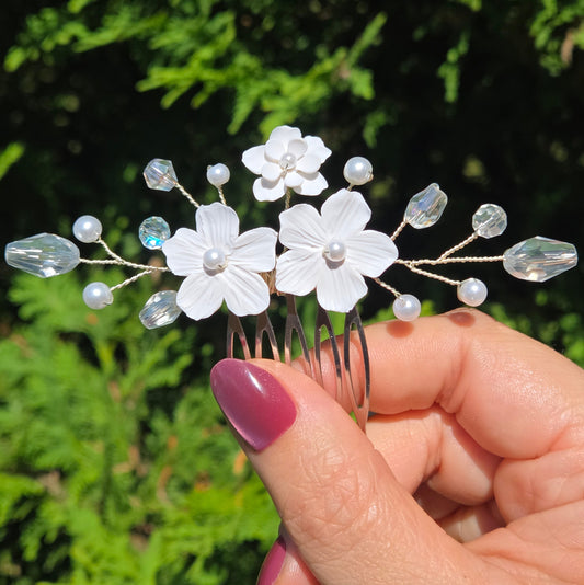 Peigne | Blanchette