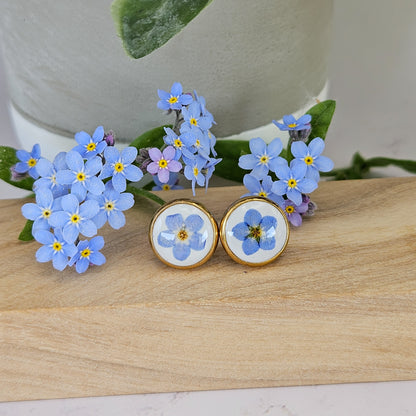 Clous | Myosotis Bleu