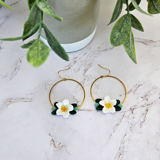 Boucles | Hawaii
