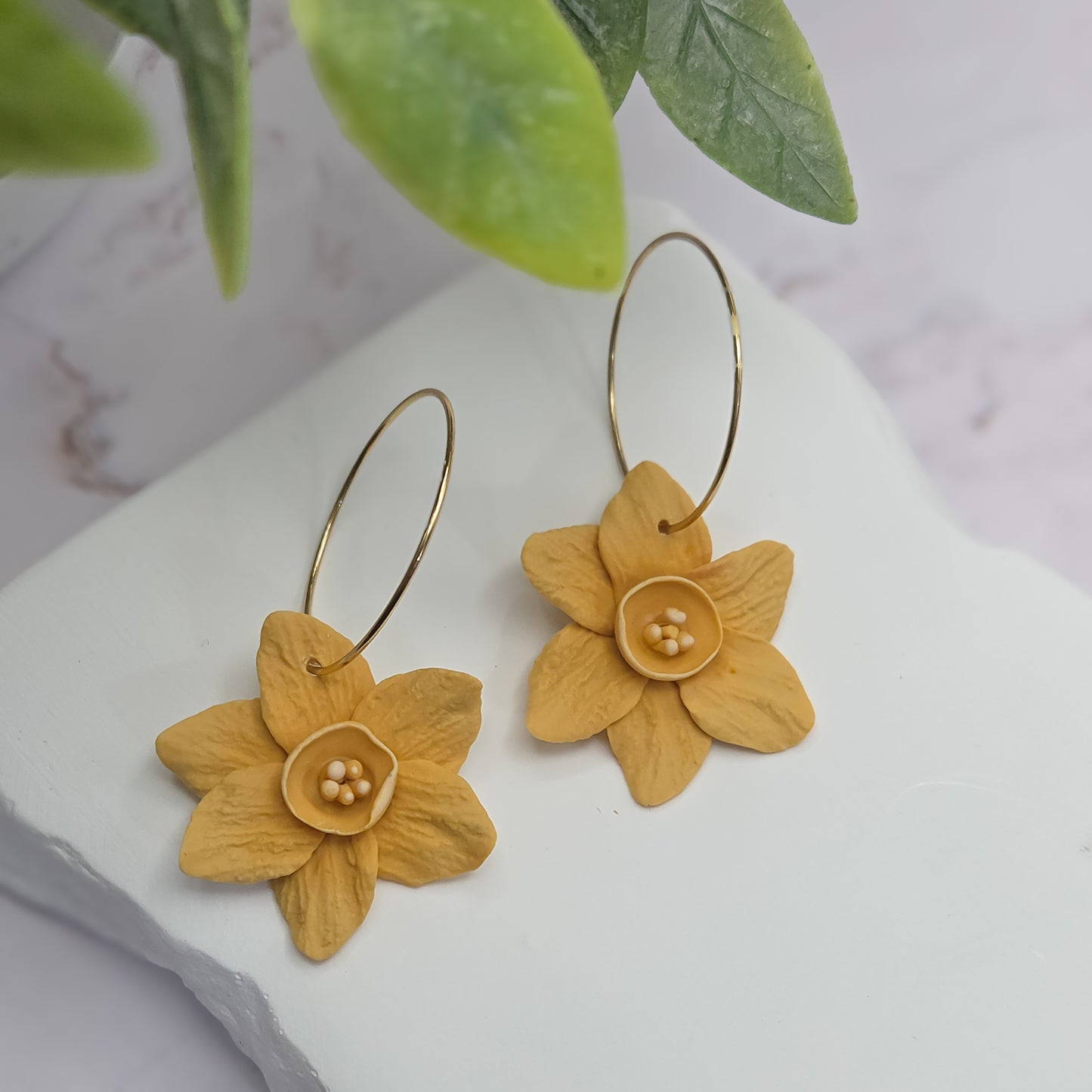 Boucles | Jonquille