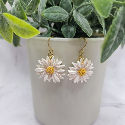 Boucles | Miss Daisy