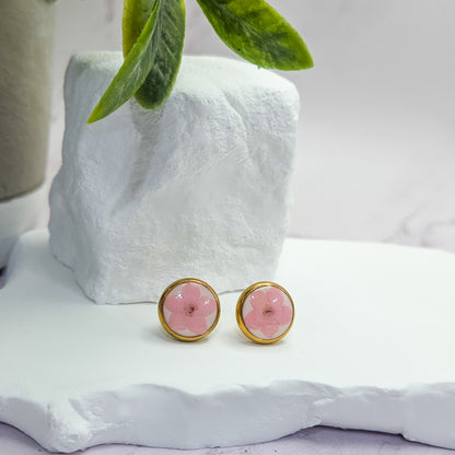 Clous | Myosotis Rose